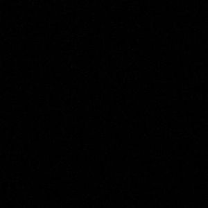 Meet your Posher, Selena